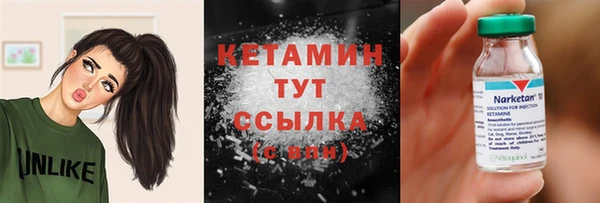 шишки Пересвет