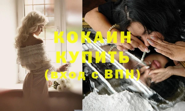 ГАЛЛЮЦИНОГЕННЫЕ ГРИБЫ Михайлов
